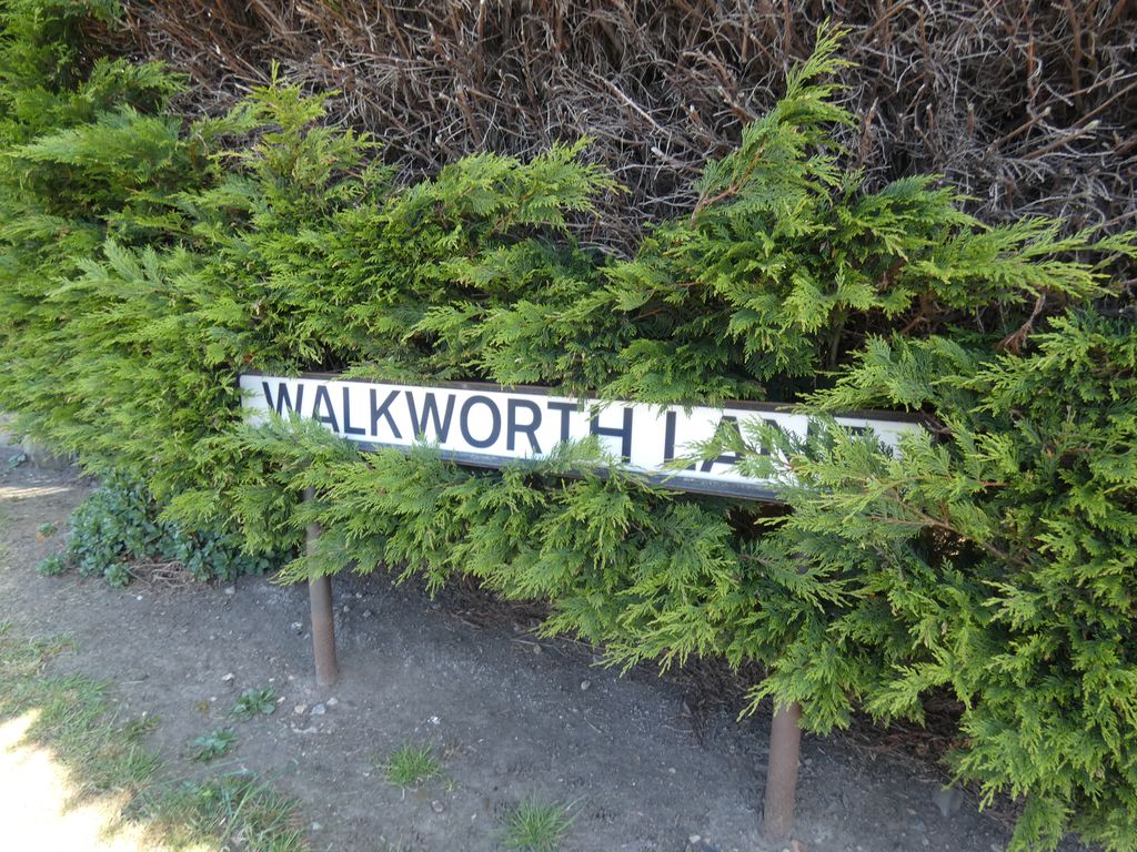 Photo 33- click for photo gallery